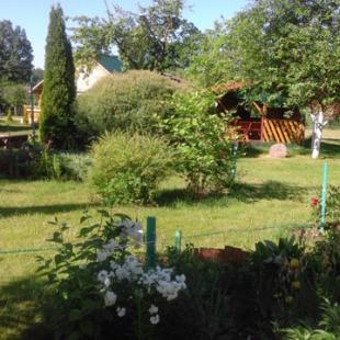 Территория сельской усадьбы «У Нiчыпараў» для семейного отдыха с детьми